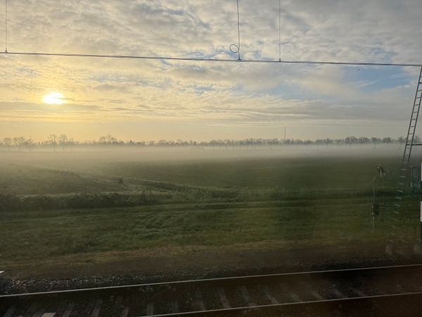 A nighttime city street scene with road signs, vehicle lights, and power lines under a cloudy sky.
