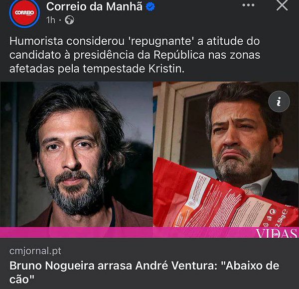 Screenshot of a Portuguese to English translation interface displaying the word 'pássaro' translated as 'bird', with pronunciation and word usage information.