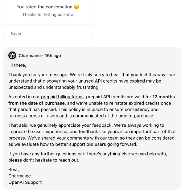 A customer service conversation regarding expired API credits.