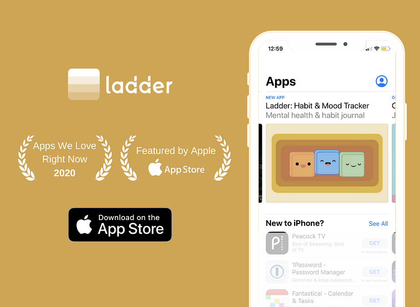 Ladder