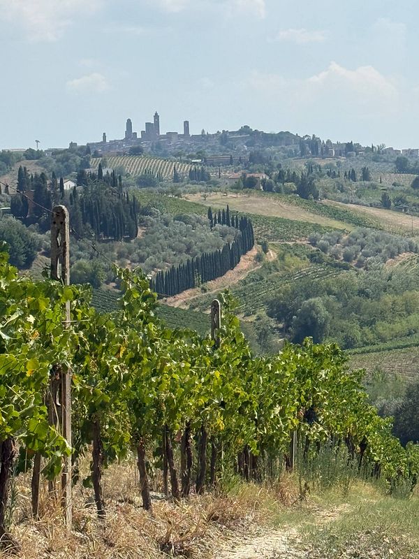 Scenic countryside in Tuscany featuring cypress trees, rolling hills, and a distant farmhouse under a cloudy sky.