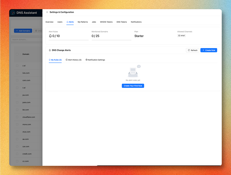 DNS Assistant