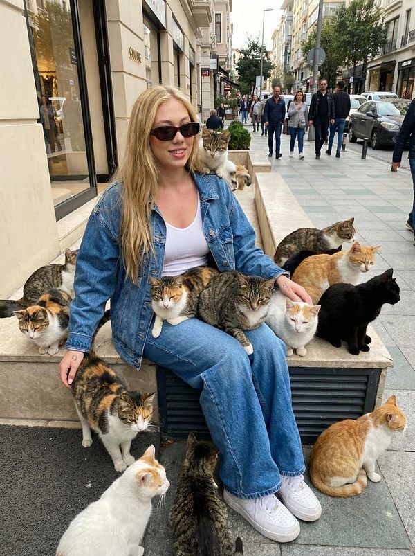 A young woman sits on a stone bench surrounded by numerous cats in a bustling urban setting.