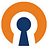 OpenVPN