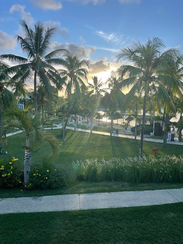 A serene tropical landscape in Mauritius featuring palm trees and a sunset.