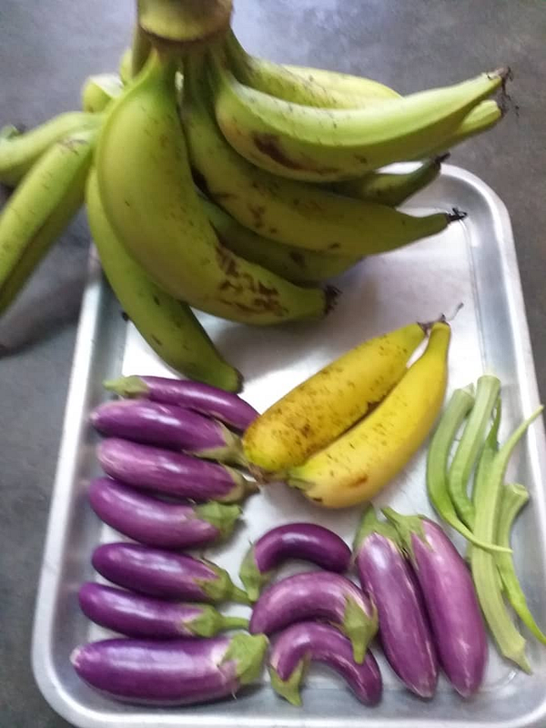 A collection of freshly harvested fruits and vegetables is displayed on a tray.
