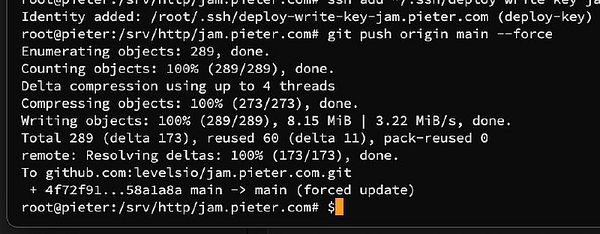 A terminal window displaying a Git command execution for force pushing changes to a GitHub repository.