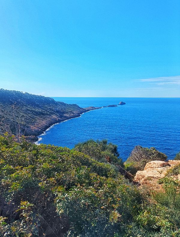 A scenic coastal view featuring lush greenery and a clear blue ocean under a bright sky.