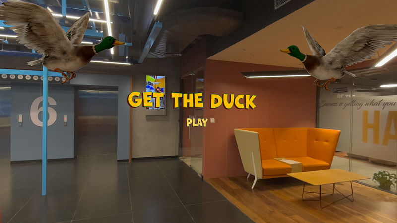 Screenshot of Get The Duck