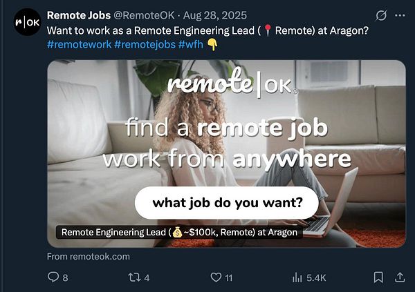 Screenshot of remote job listings filtered for designer roles, showing multiple job entries with details and alert filters.