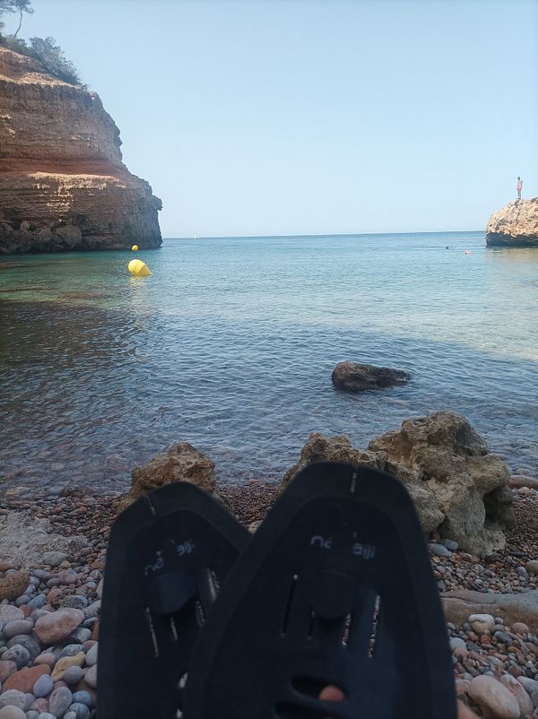 A serene beach scene with swimming flippers in the foreground and a calm sea in the background.