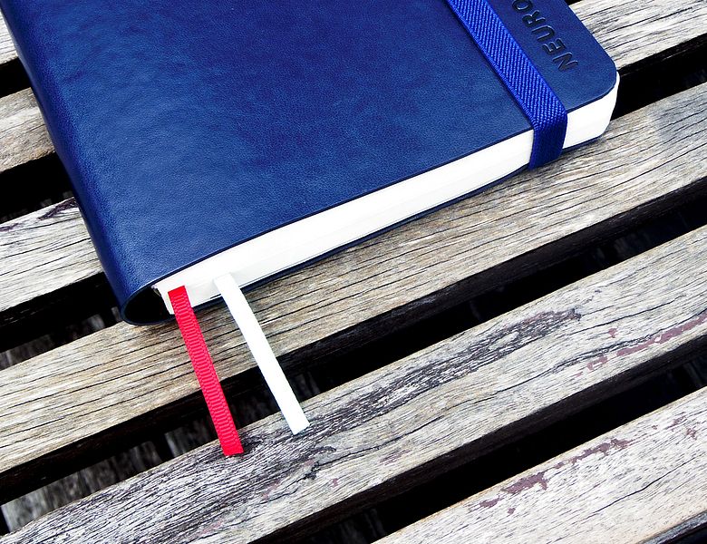 Neuroplanner