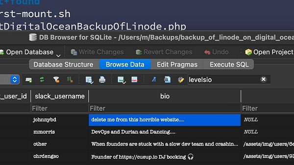 The image displays a screenshot of the DB Browser for SQLite application showing a database table with user information.