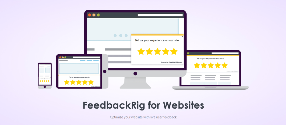 Feedbackrig