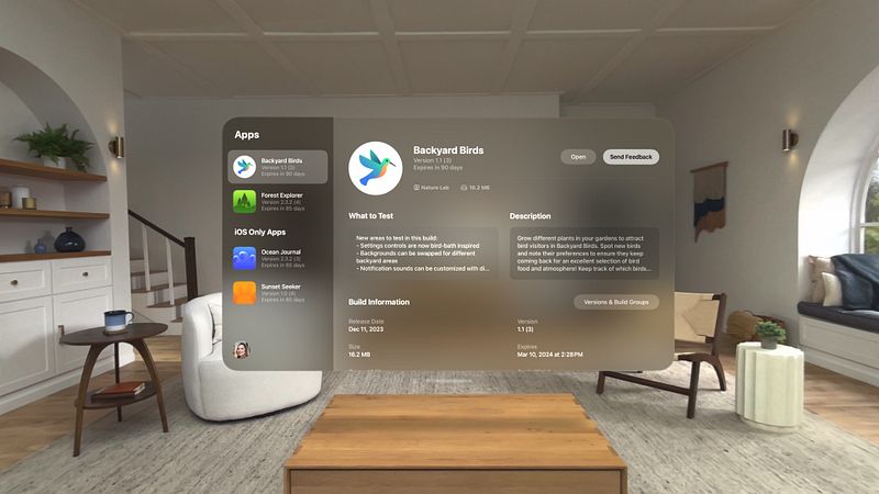 Screenshot of TestFlight
