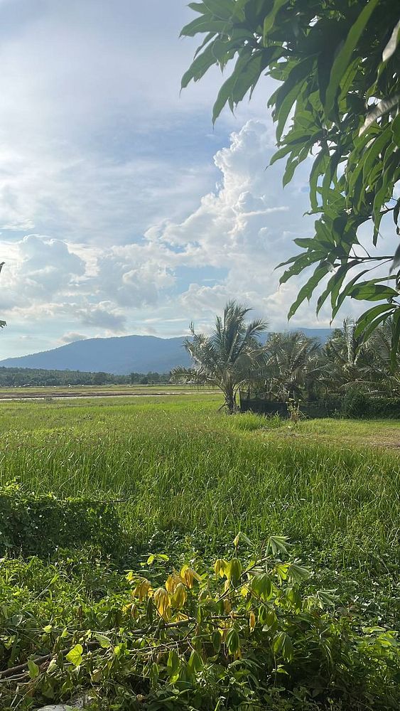 A serene landscape featuring lush green fields and distant mountains under a cloudy sky.