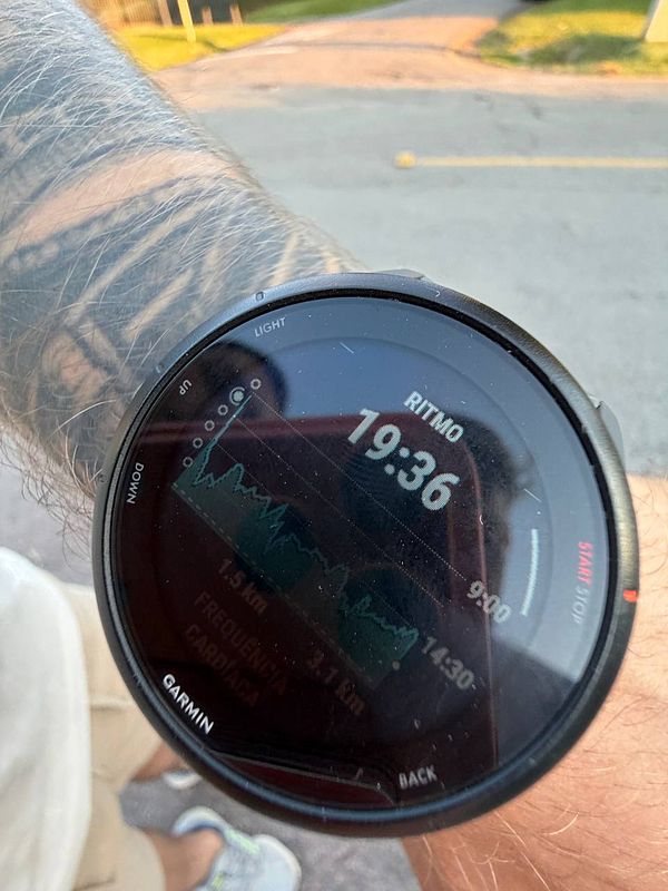 A scenic park pathway lined with green grass and trees during a sunny day.