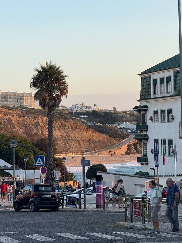 A scenic coastal view featuring a palm tree, beach, and people walking along a promenade.