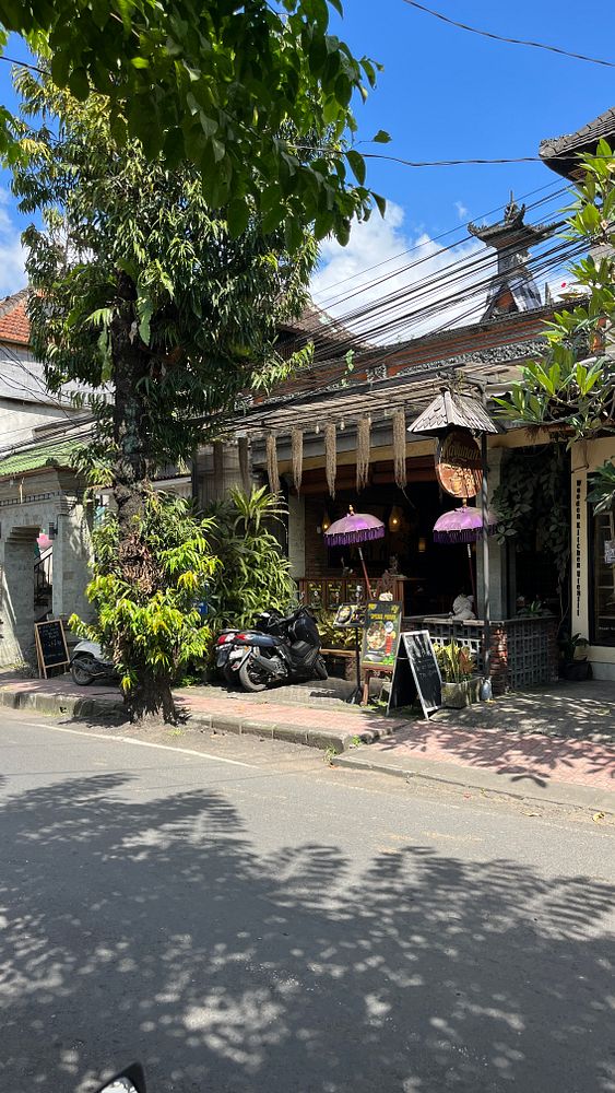 A vibrant street scene in Ubud featuring a local shop surrounded by greenery.