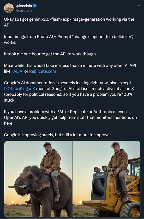 A person is shown interacting with an elephant on the left and a bulldozer on the right, illustrating a successful image generation task using Google Gemini 2's API.