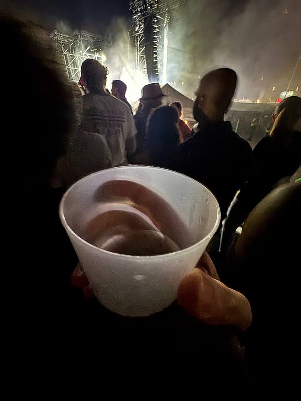 A hand holds a cup at a lively outdoor event with a crowd in the background.