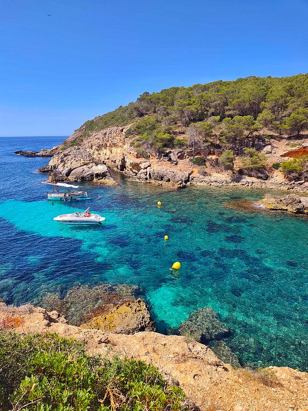 A vibrant underwater scene with a snorkeler among brightly colored coral reefs and tropical fish.