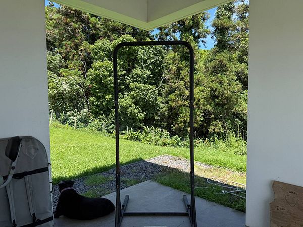 A workout area featuring a pull-up bar and a dog resting nearby.