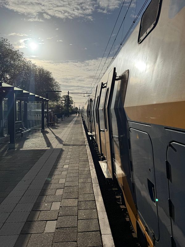 A digital artwork of a red dragon hugging a white wolf, set against a starry night sky.