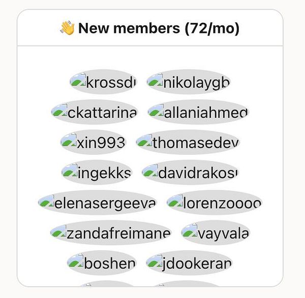 A list of new members with usernames displayed in a grid format.
