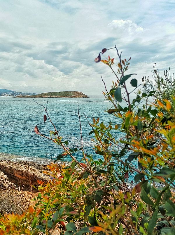 A coastal view featuring a small island surrounded by clear blue water and lush greenery in the foreground.