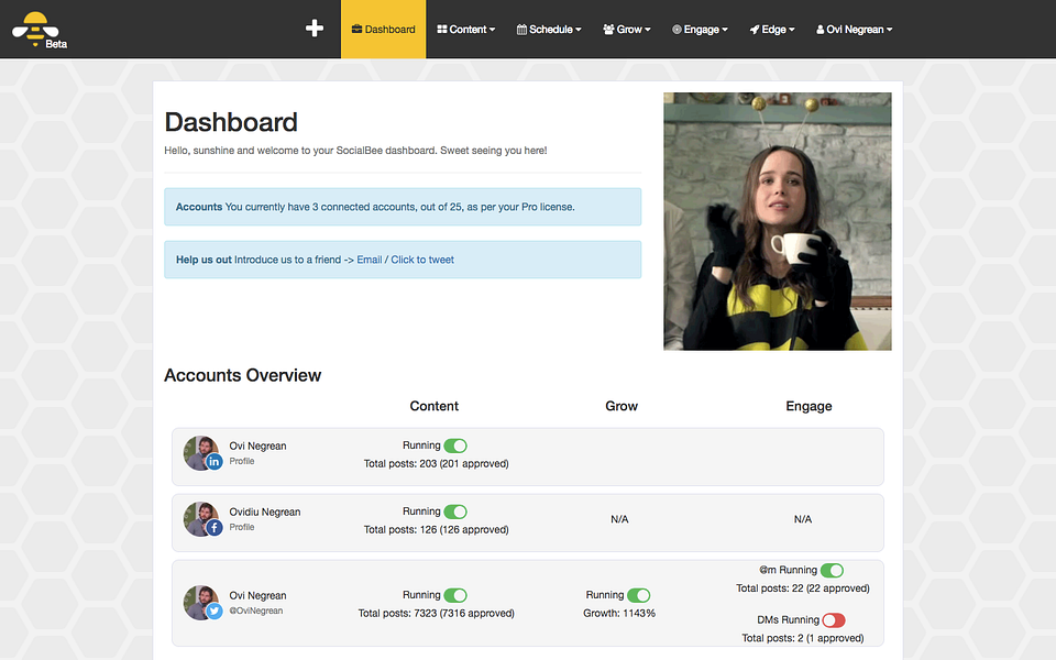 SocialBee.io
