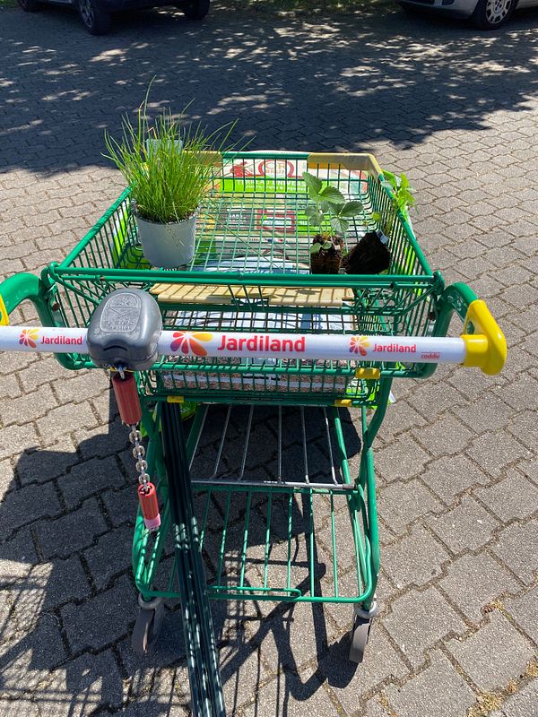 Close-up photo of a hand holding soil with small plants growing, next to a collection of leaves and vegetation.