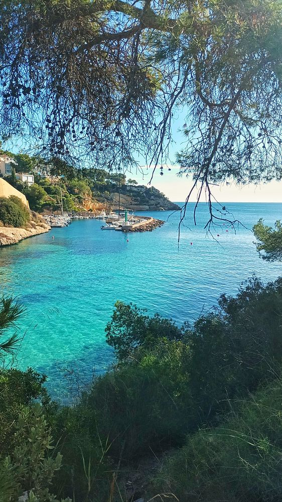 A serene coastal view featuring clear turquoise waters and a rocky shoreline.