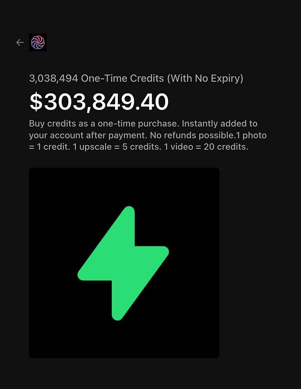 The image displays a credit purchasing interface with a total credit count and pricing details.