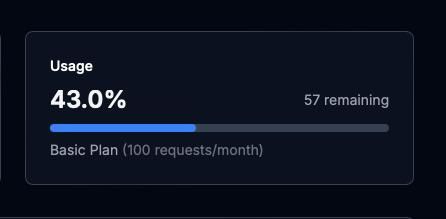 The image displays a usage dashboard for a subscription plan.