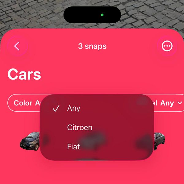 Grid display of various car brand logos showing automatic detection for filters in an application interface.