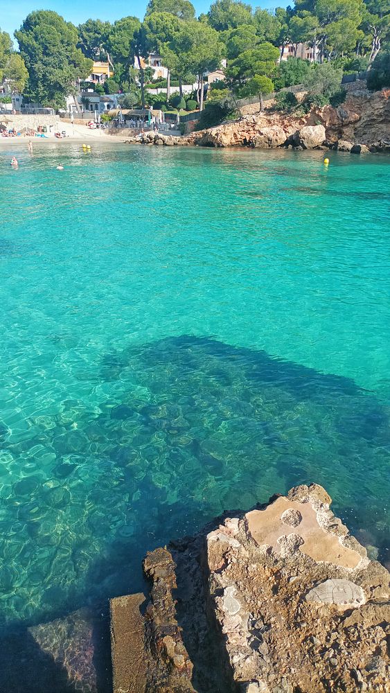A serene beach scene featuring clear turquoise water and rocky shoreline.