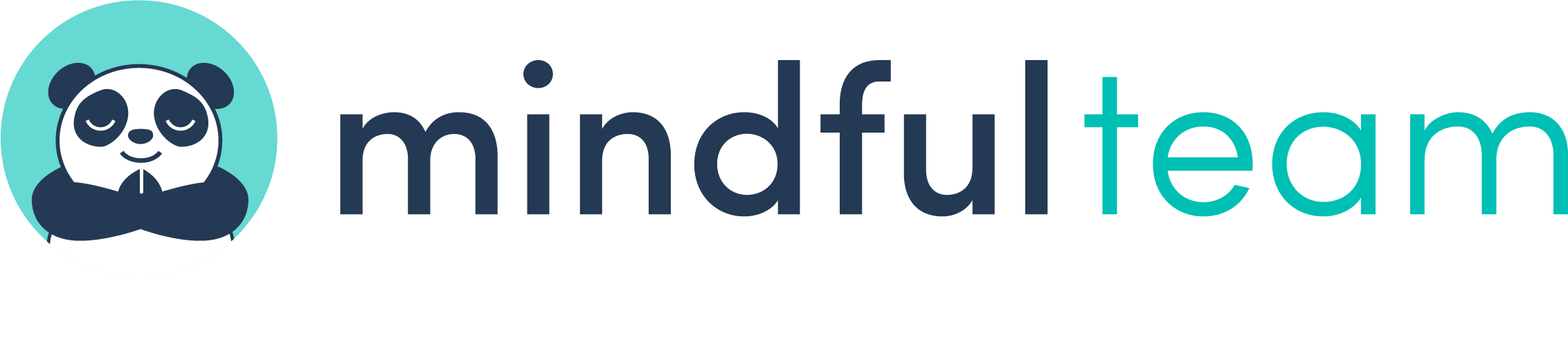 Mindful Team