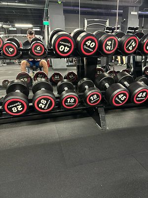 A gym setting featuring a rack of dumbbells with various weights.