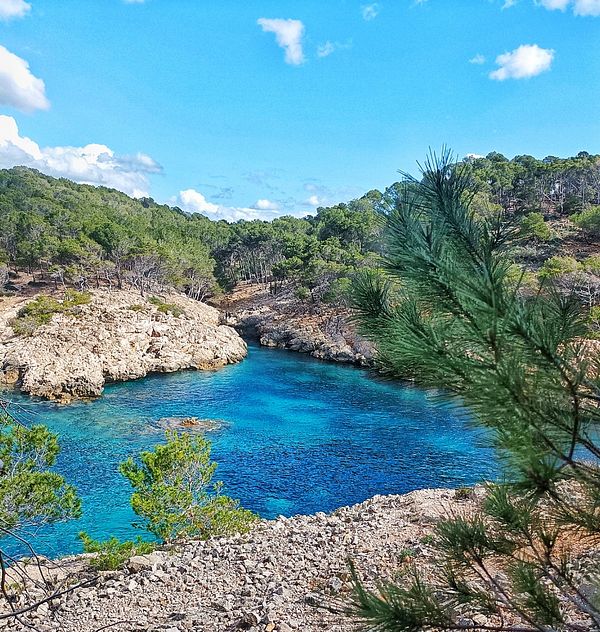 A scenic view of a turquoise bay surrounded by rocky shores and lush greenery.