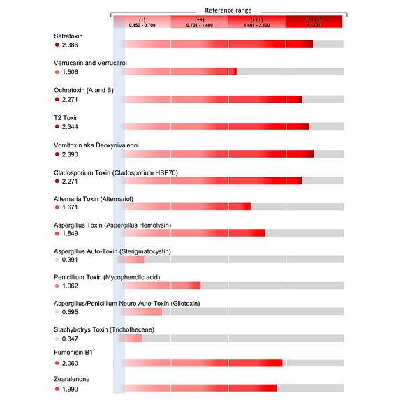 The image displays a chart of mold toxin test results with various toxins and their corresponding levels.