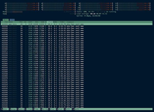 The image displays a terminal interface showing system resource usage and active processes.