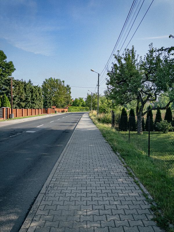 A scenic urban park pathway during morning light with trees lining the sides and modern buildings in the background.