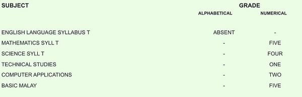 The image displays a report card with subjects and corresponding grades.