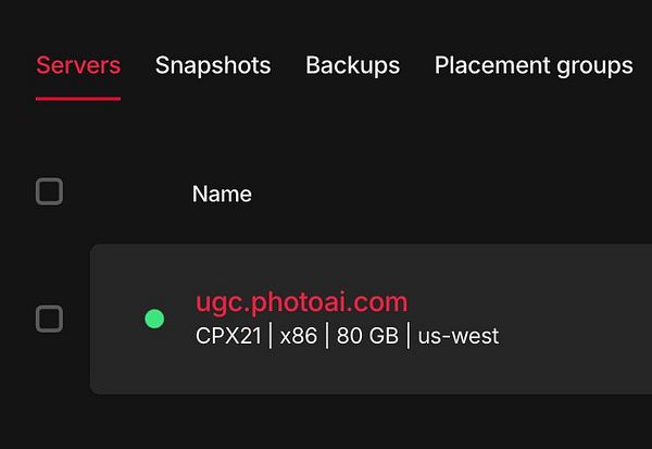 The image displays a user interface for managing servers, specifically showing details of a server instance.