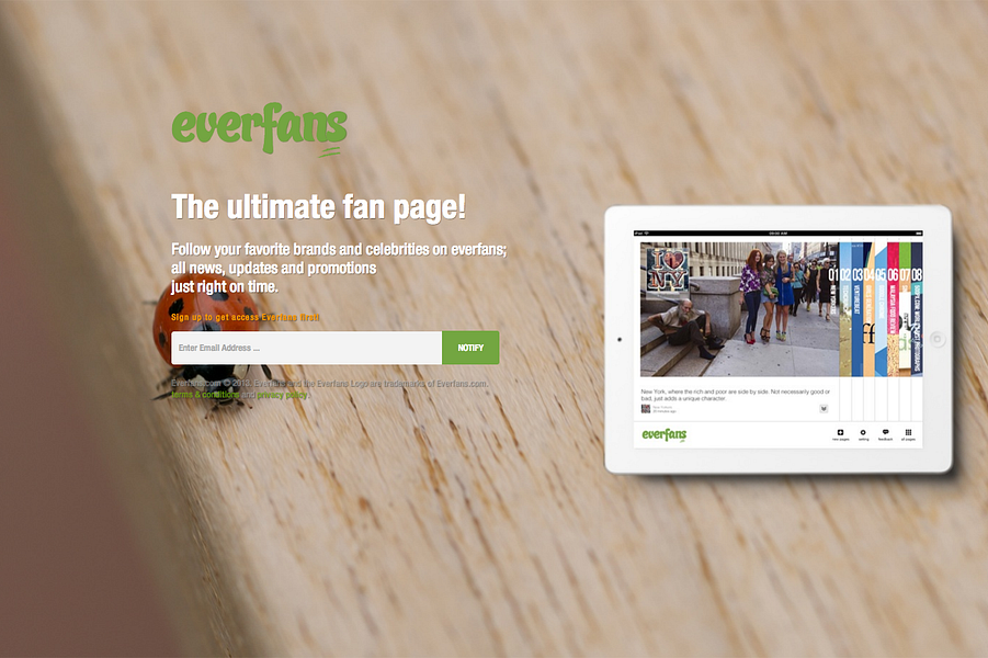 Everfans