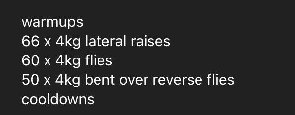 A workout plan for a home gym session focusing on various exercises.
