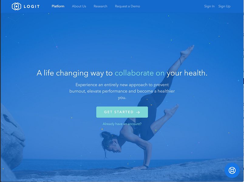 Logit AI