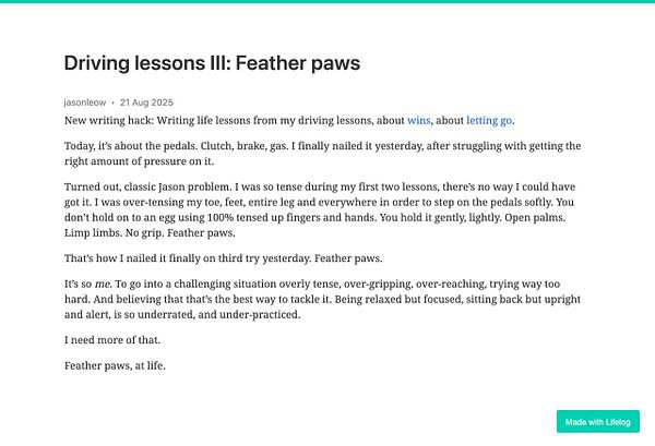 A blog post discussing driving lessons and the concept of 'feather paws' in relation to learning to drive.