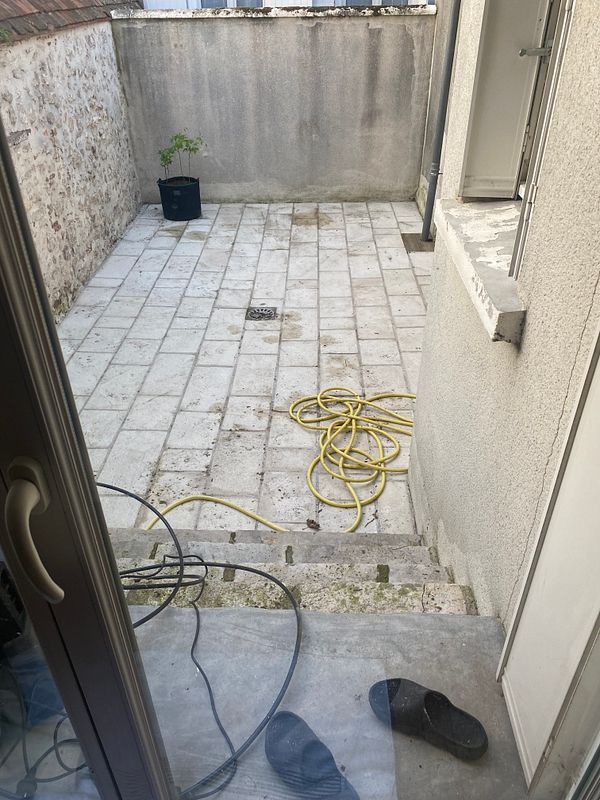 A backyard is shown with a patch of bare soil surrounded by plants, greenery, and a wooden fence, indicating an ongoing cleaning or gardening activity.